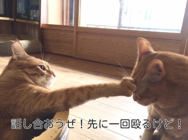 口もきかなくなるほど不仲だった夫婦が笑顔で話せるようになった方法とは