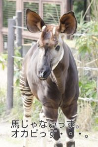 過去もトラウマも人間を支配などしていない【治す方法・カウンセリング】