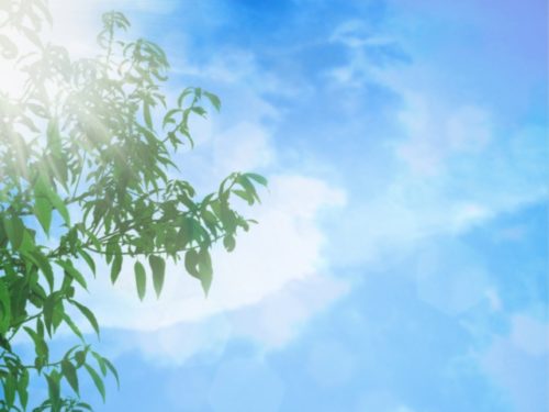 DVなんか耐える必要はない。【母子生活支援施設（シェルター）】