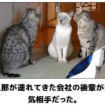 浮気させない方法と見抜き方【浮気する人の共通点】