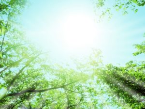 摂食障害(拒食、過食)の治療には信頼関係〜原因のほとんどが真面目で良い子〜