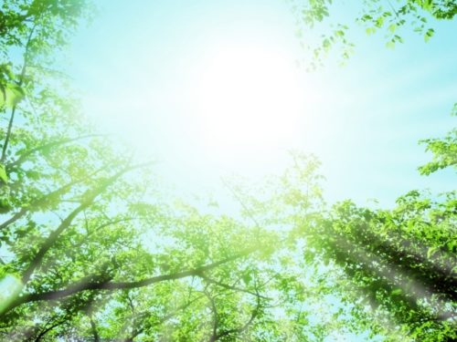 摂食障害（拒食、過食）の治療には信頼関係〜原因のほとんどが真面目で良い子〜