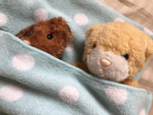 たまには休憩「ちゃんこミーの寝起きドッキリ」