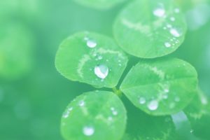 優しい人（繊細な人）がそのままで生きられる方法【スルースキルや回避法】