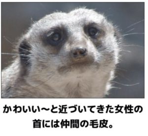 デリカシーのない言葉をかけてくる人への対処法【繊細さの能力を使おう】