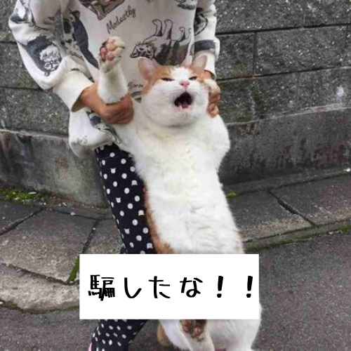 インターネットの罠と政治や法律を知らないと騙される怖さ【あなたは大丈夫？】