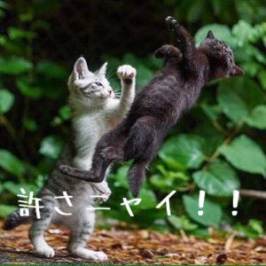 何でも許すのはいい女(男)?都合のいい女(男)?【間違えてない?】