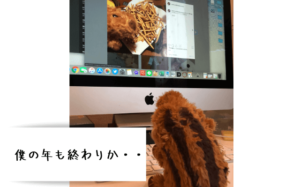 ブログを初めて、今年1年を振り返って。