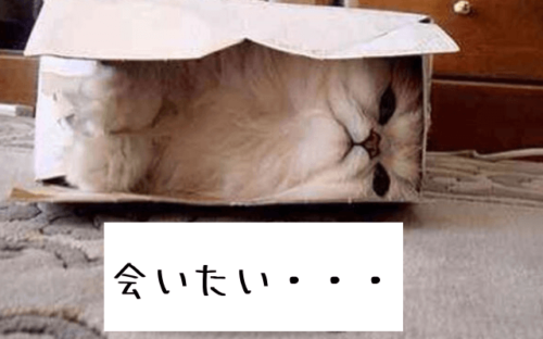 【忙しい男性との付き合い方】と【待ってくれる女性への向き合い方】