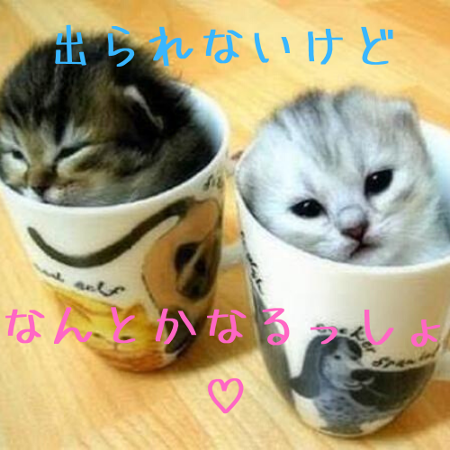 いい女（男）じゃなくて、都合のいい女（男）になってない？【楽観主義編・ポジティブ・プラス思考編】