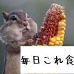 「嫁の飯がまずい」時の正しい声掛けとNG行動【料理上手は男性の心を離さない】