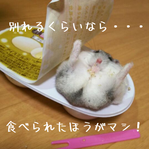 別れたいのに別れられない時の傷つかない別れ方【彼氏・彼女・友人】