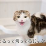 上手な気持ちの伝え方【伝わらないと諦めないで】共感がないと伝わらない。