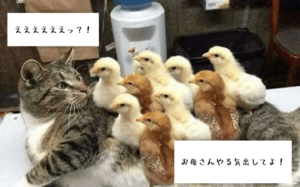 やる気の出し方【スイッチ】心理学でやる気を出させる方法