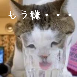 いい男性・いい女性に出会えない原理教えます【悲観的・マイナス思考・ネガティブ】