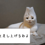 娘が初めてポンプ交換の針を自分で打てた【9歳の1型糖尿病】