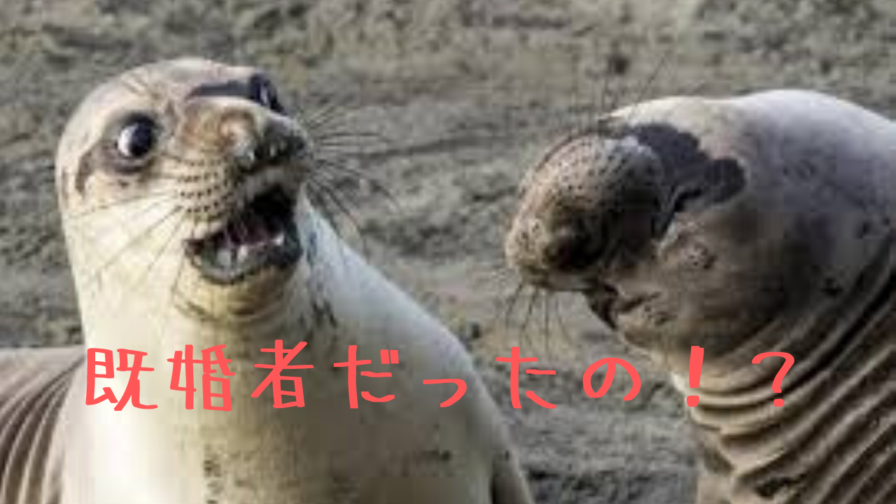 あなたが選んだその男性、本当に誠実ですか?