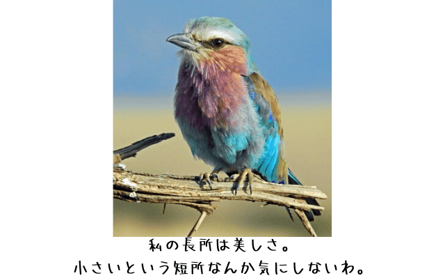 部下が成長しない理由【成長させたければ真逆のことをすればいい】