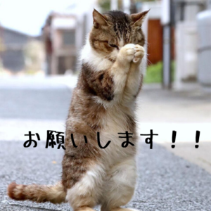 長い片思い・復縁【叶わない恋をした時に苦しくなくなる方法・叶っちゃうかも】