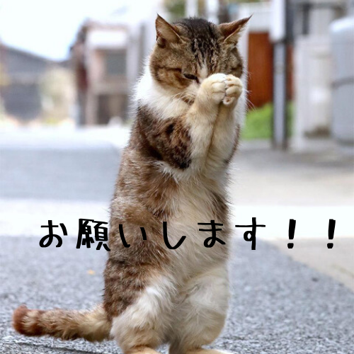 長い片思い・復縁【叶わない恋をした時に苦しくなくなる方法・叶っちゃうかも】