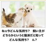 好きなタイプの女性