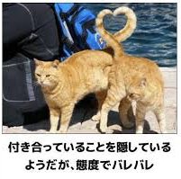 正しい遊び人になる方法【モテるプレイボーイとダサい遊び人の違い】