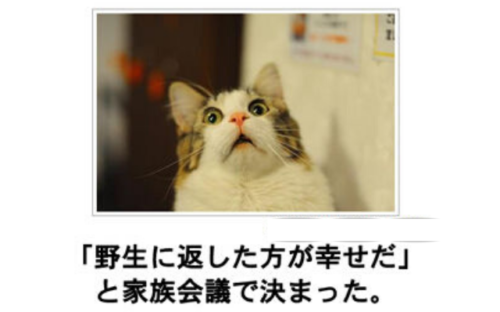 長電話や長い会議（ZOOM会議）を簡単に短く終わらせる方法。【だって断れないんだもん】