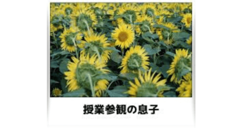 人間関係に自信がないのなら植物を育てて自信を付けてみて。