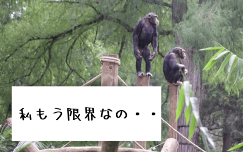 嫁姑問題の解決法。【お姑さんが意地悪編】