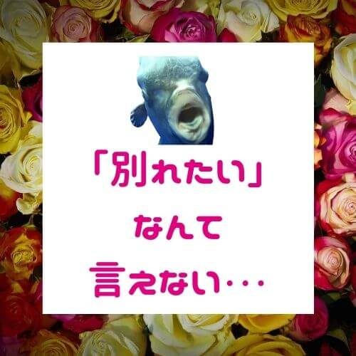 長くお付き合いした女性との別れ方