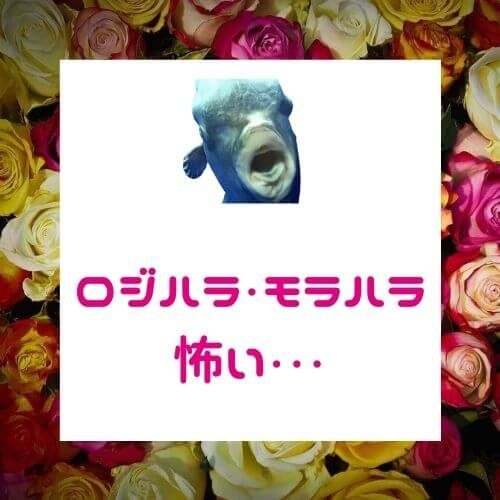 人を追い詰めるロジハラ、モラハラ「許せる？許せない？」