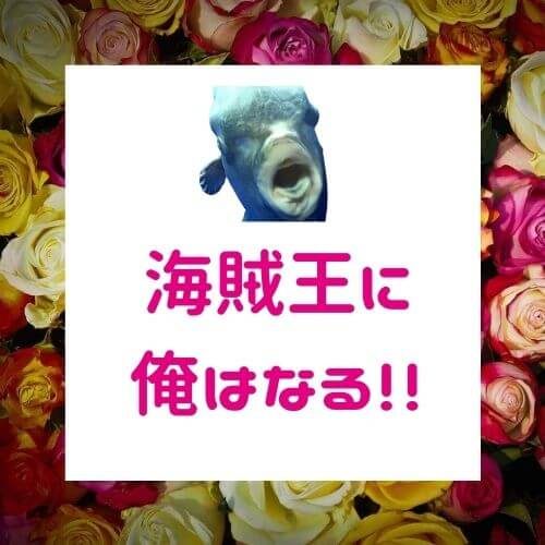 成功する起業家、失敗する起業家「あなたはどっち？」