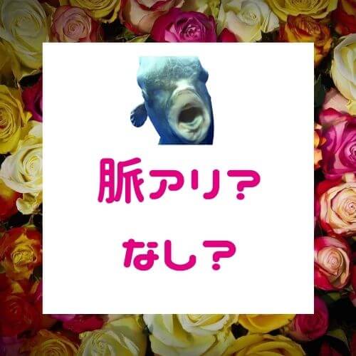 女性の脈あり脈なしサインの見分け方 幸せ心理ラボ