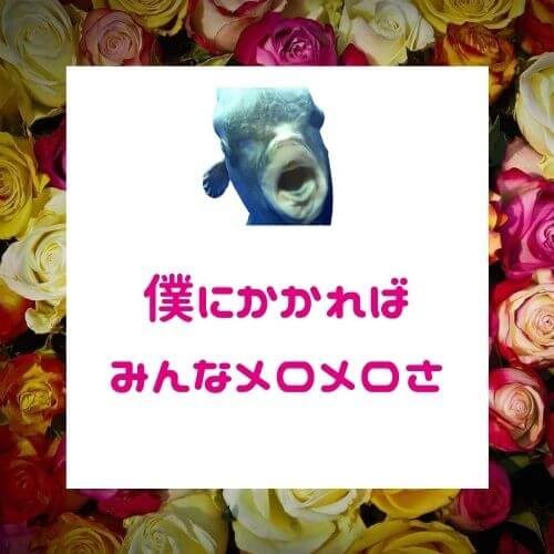 純粋な女性を見抜け 彼女の好きな色 心理ゲームで恋愛上手 S級メンズ思考 純粋な女性を見抜け 彼女の好きな色 心理ゲームで恋愛上手 S級メンズ思考