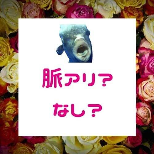 女性の脈あり脈なしサインの見分け方