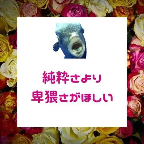 純粋な女性を見抜け「彼女の好きな色」【心理ゲームで恋愛上手】