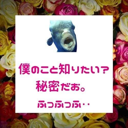 あなたを好きになる女性を見抜ける？「あなたが知りたい」【心理ゲームで恋愛上手】