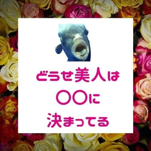 美人の口説き方【実は簡単？】皆がしている〇〇は絶対NG