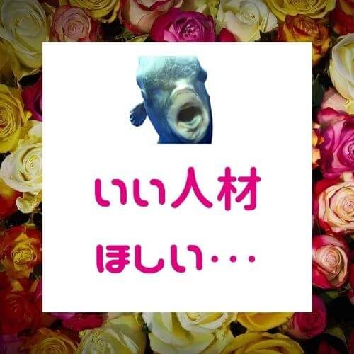 良い従業員を見つける社長、見つけられない社長「あなたはどっち？」