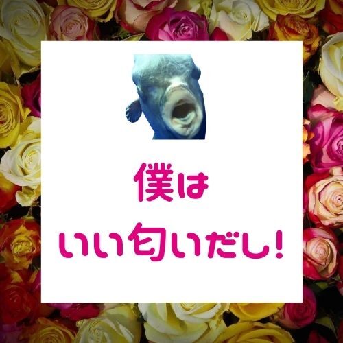 彼女の脈アリ度を確かめるの７つの方法 幸せ心理ラボ