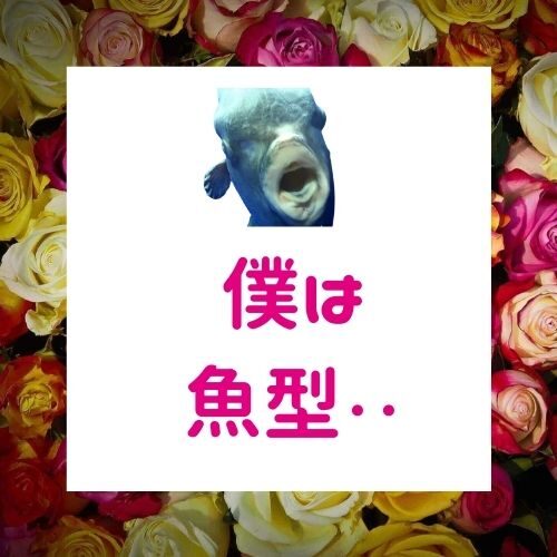 血液型判断で恋愛の相性は決まる？