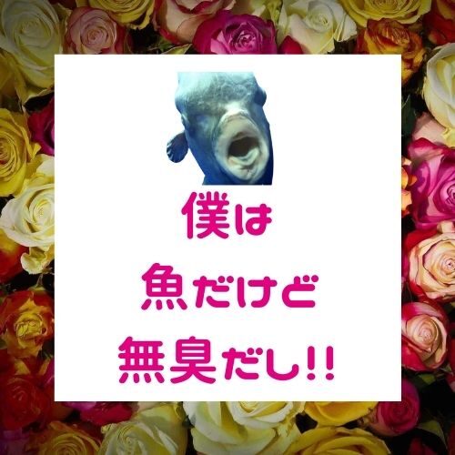 女性が求める清潔感の正体