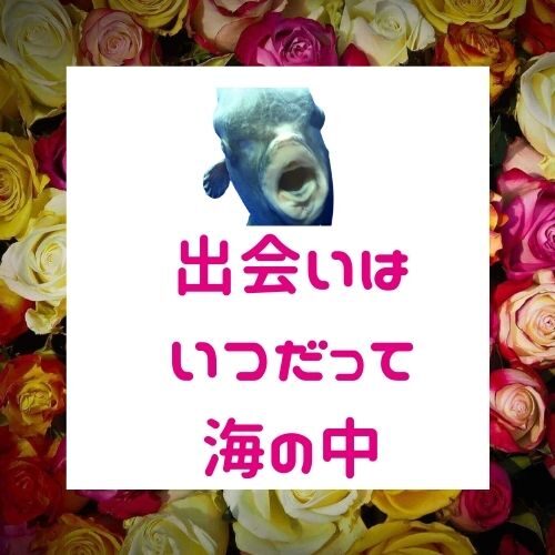 社会人の出会い方４選と次につなげる心理効果