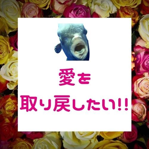 気持ちが冷めた女性の言動【愛を取り戻せ】