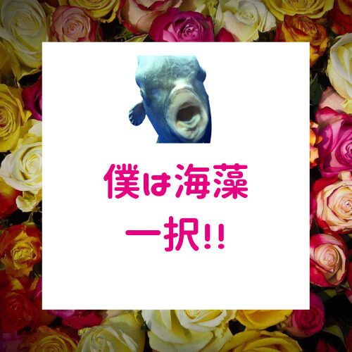 優柔不断を治す方法。