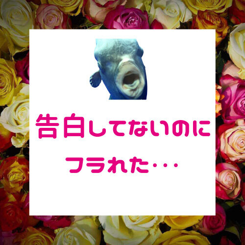 告白してないのに交際を女性が断る心理