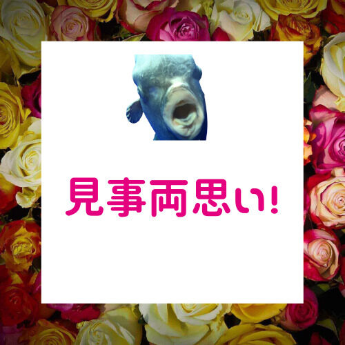 両思いに逆転した男性の法則【片思いはさよなら】