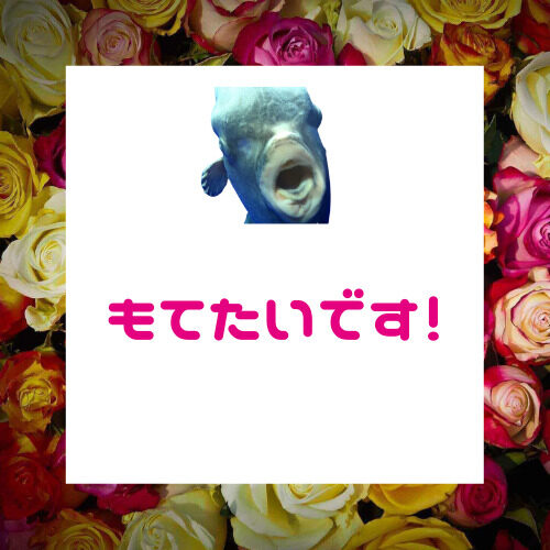 モテる男性の特徴。